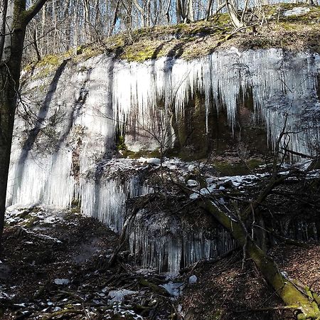 Saengerwiese Eisenach Eksteriør bilde