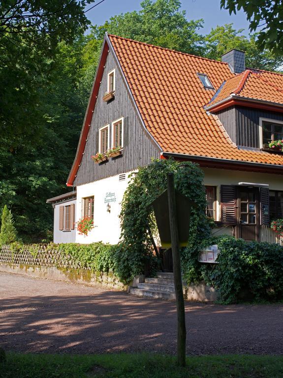 Saengerwiese Eisenach Rom bilde