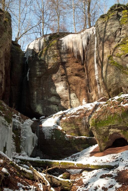 Saengerwiese Eisenach Eksteriør bilde