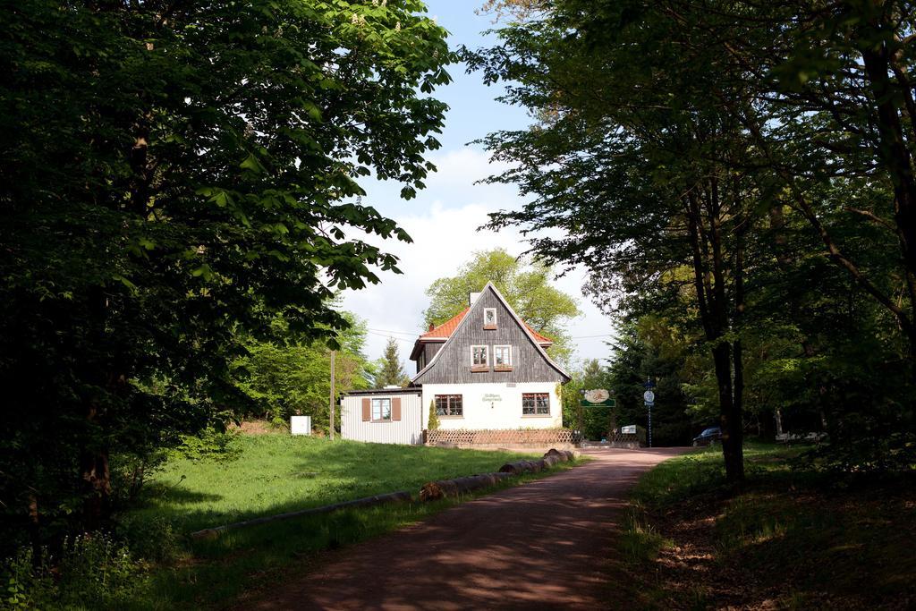 Saengerwiese Eisenach Rom bilde