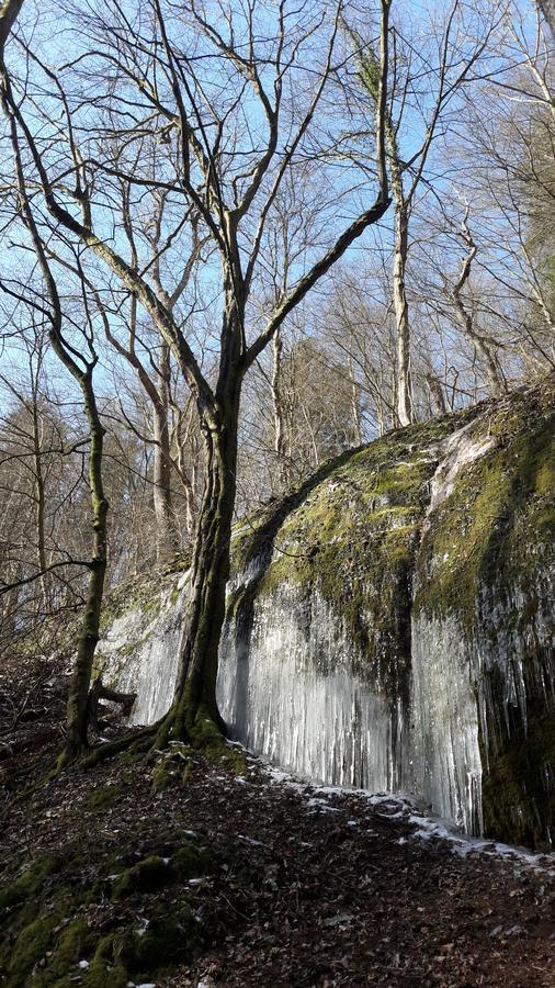 Saengerwiese Eisenach Eksteriør bilde