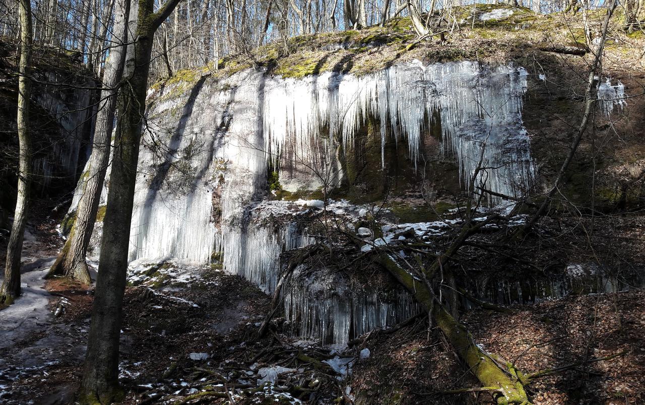 Saengerwiese Eisenach Eksteriør bilde